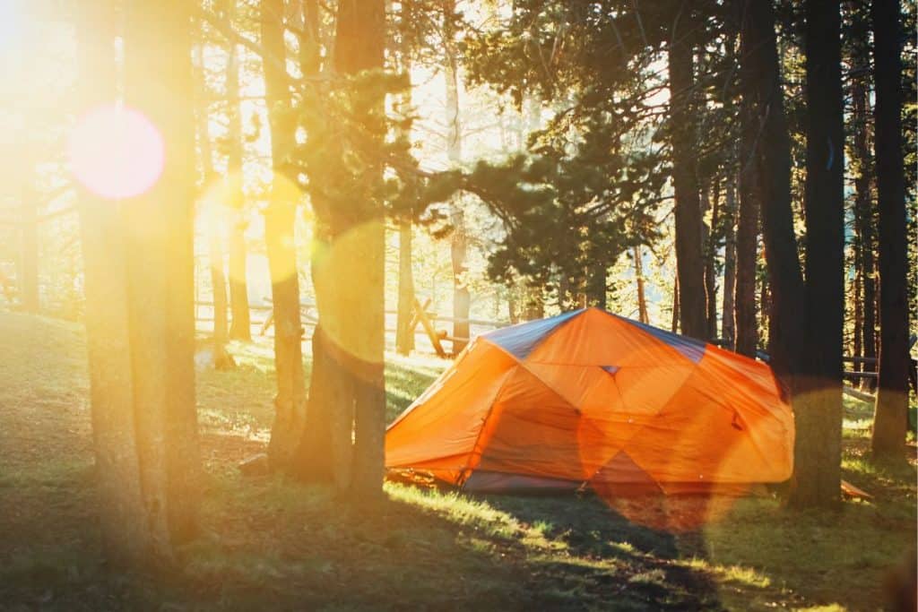 orange tent with sun flare through trees