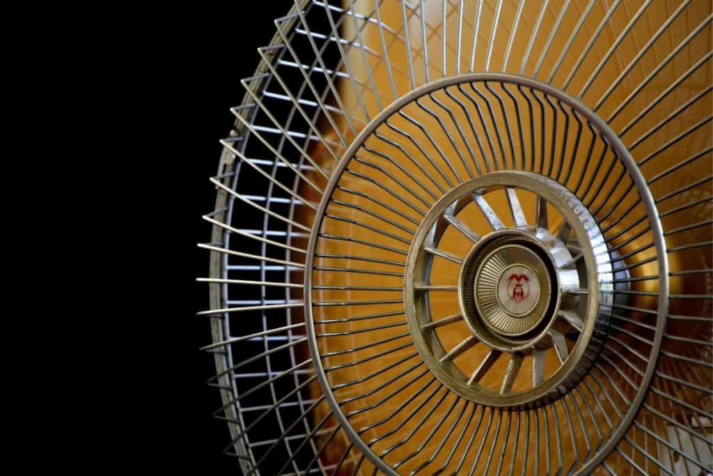 fan against a black background