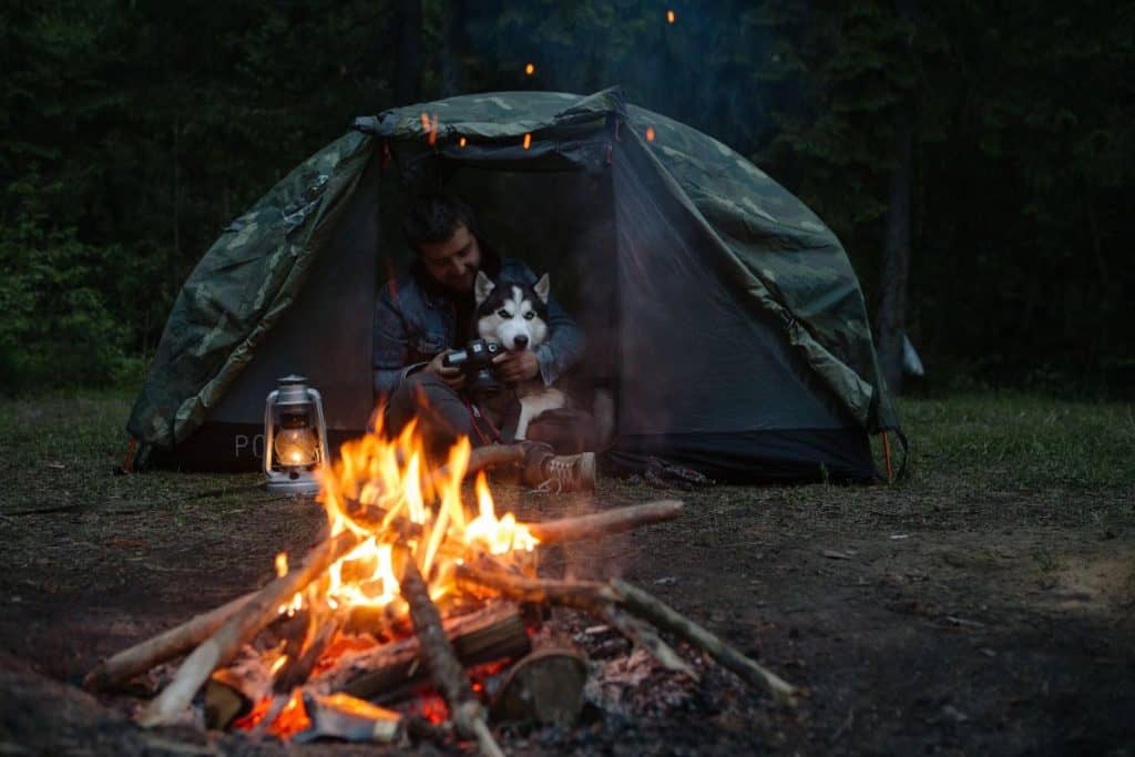 man and dog campfire green tent at night