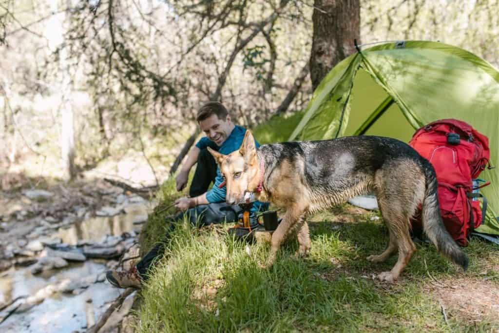 man and dog by green tent and river