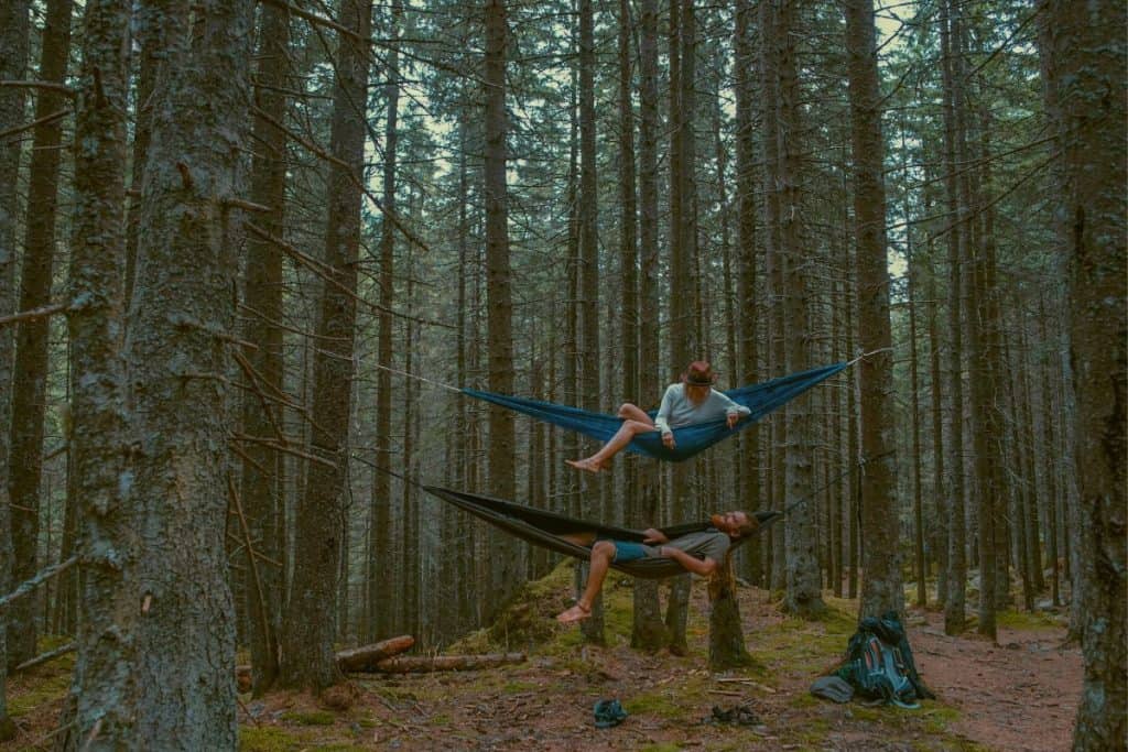two men in hammocks in the forest