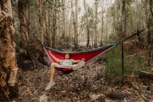 man hanging from a hammock in trees