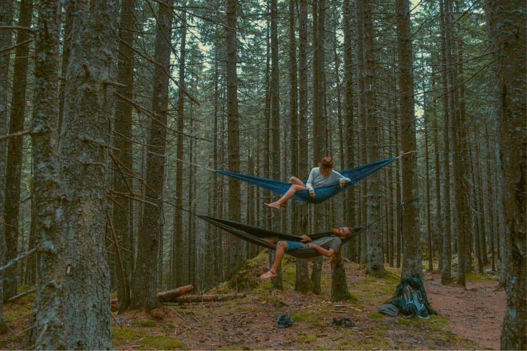 two men hanging in hammocks in the trees above each other