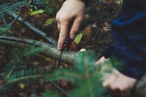 hand holding a small saw cutting through a branch