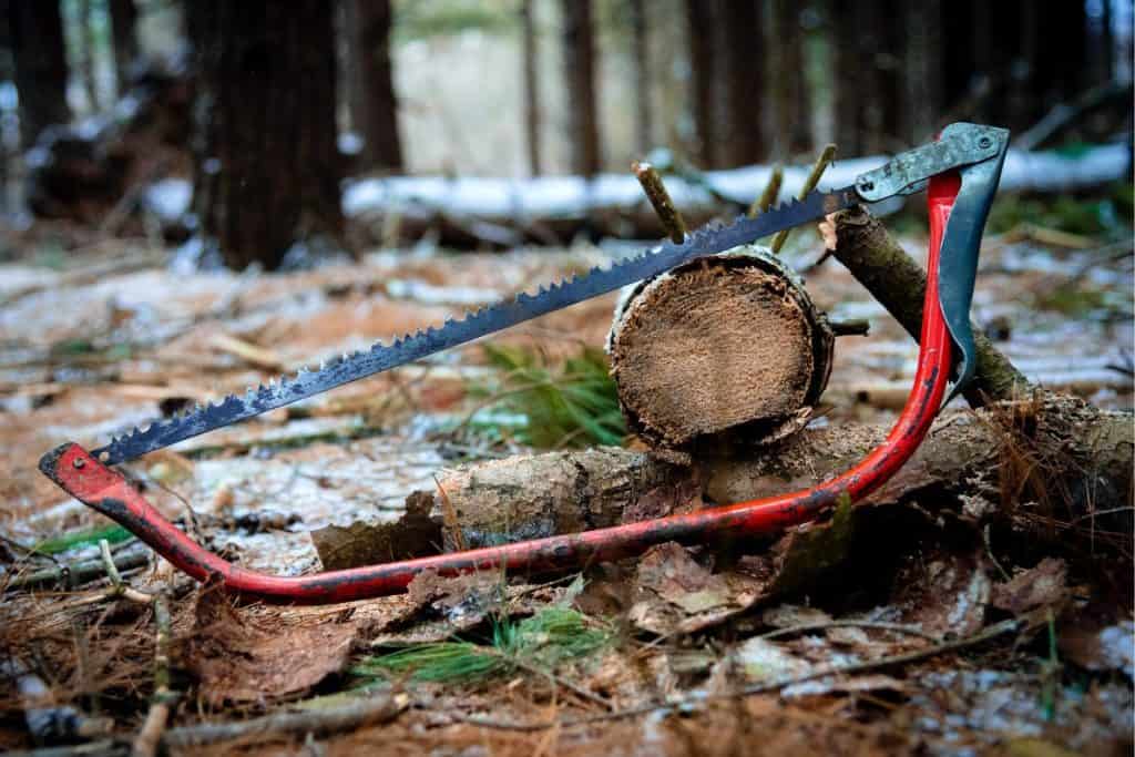 red bow saw sitting on a log in the forest