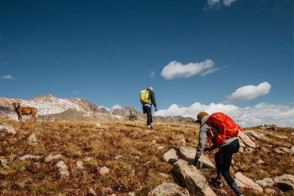 two people with backpacks hiking with a dog