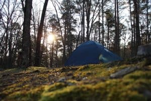 blue tent in a forest at sunset