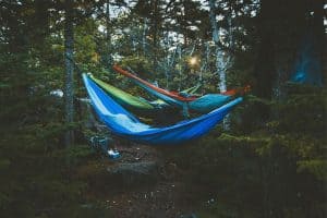 three hammocks in a forest