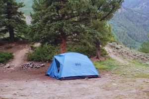 blue tent on the ground by trees
