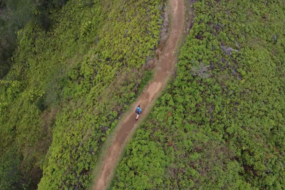 man walking on a trail in hawaii