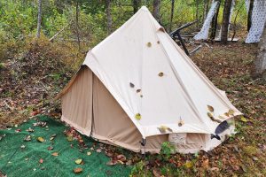 canvas bell tent in a forest