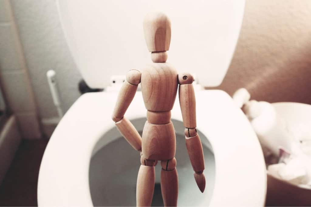 wooden figure in front of a toilet