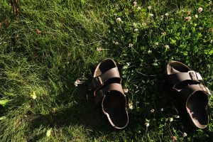 brown sandals on green grass