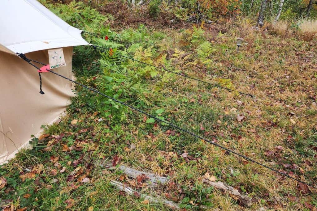 guylines extending from a canvas tent